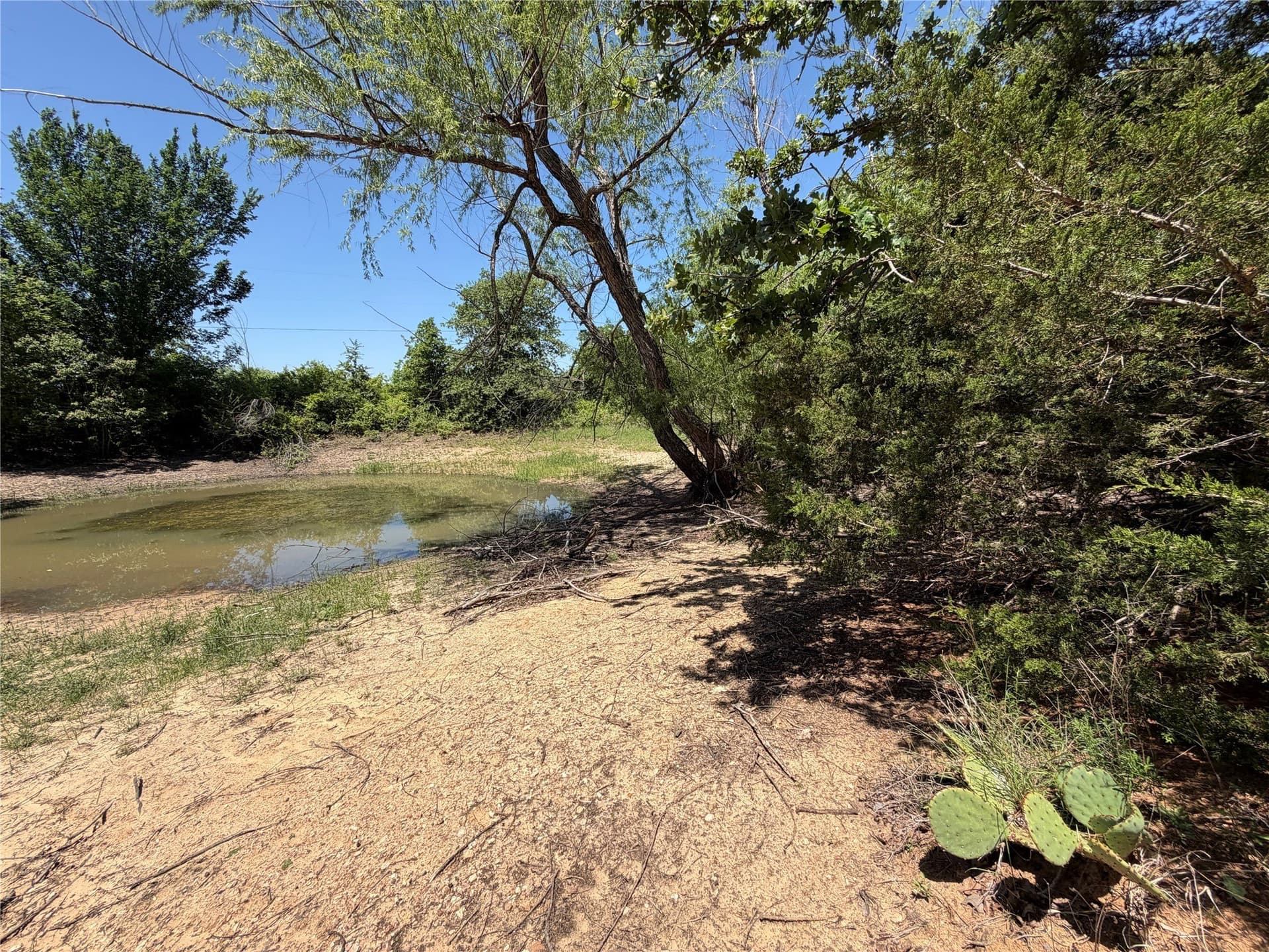40.85 acres in Montague County - photo 19