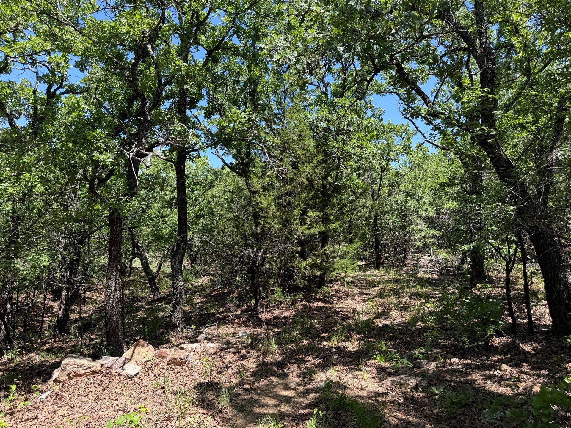40.85 acres in Montague County - photo 16