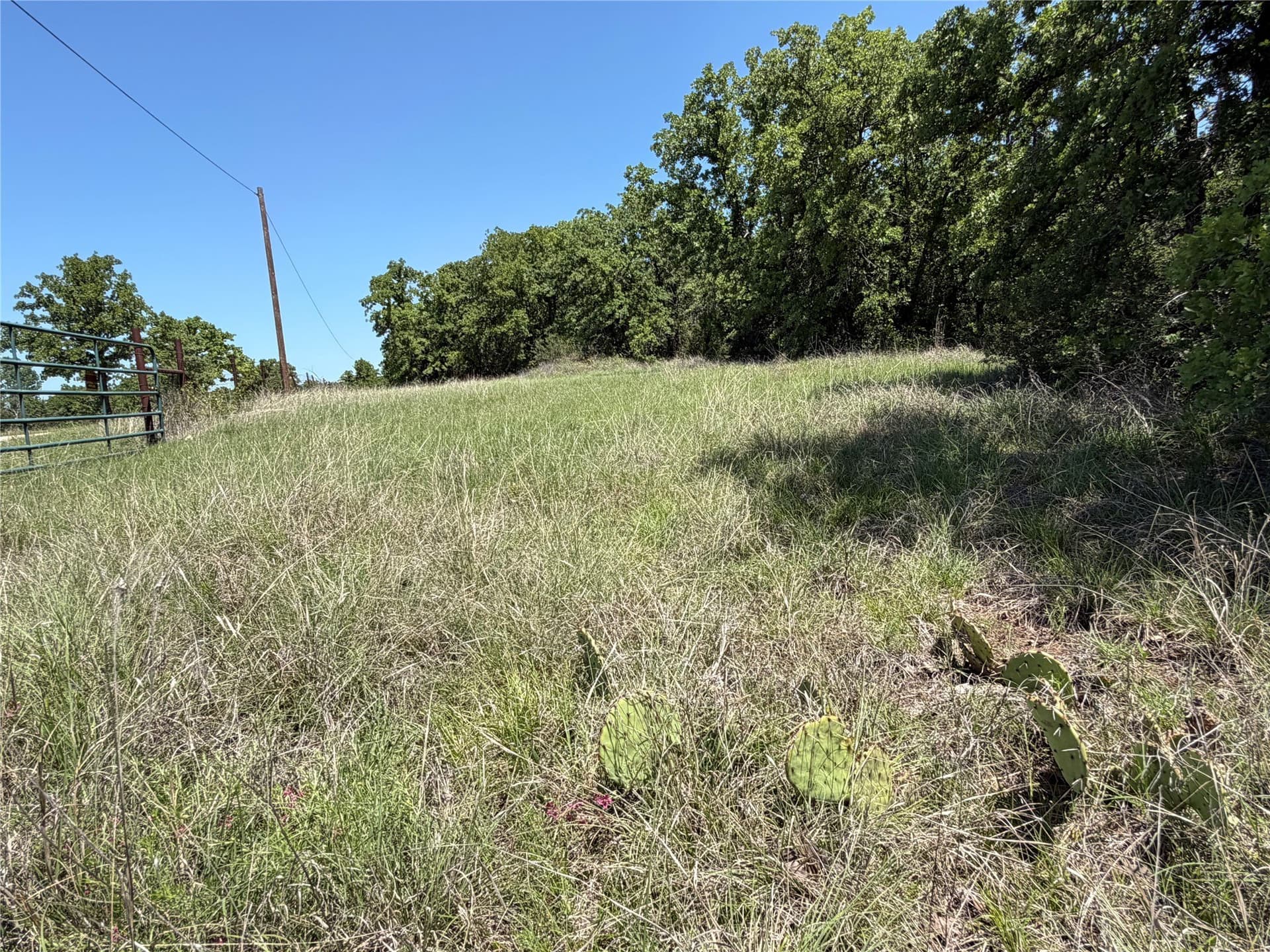 40.85 acres in Montague County - photo 12