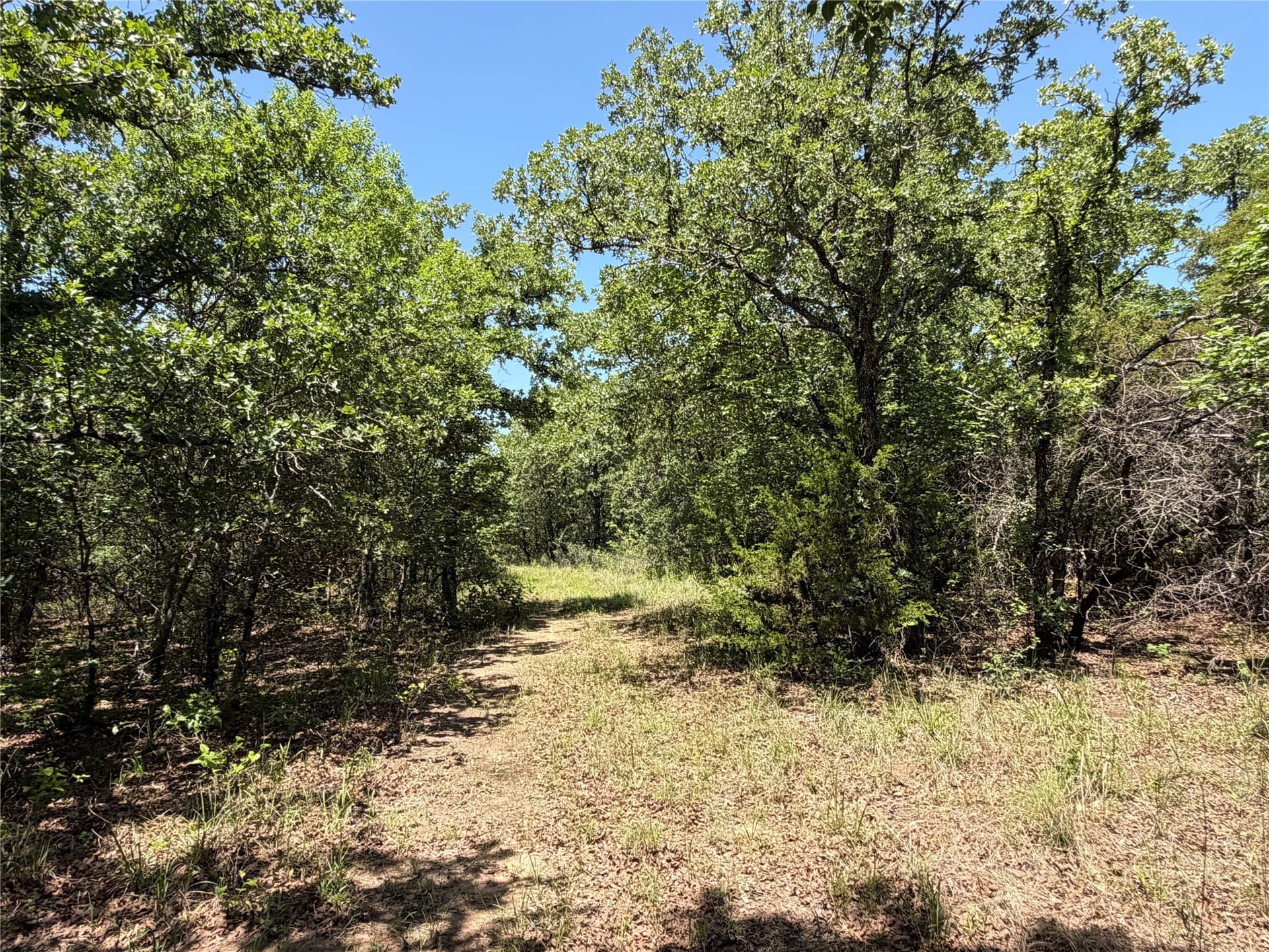 40.85 acres in Montague County - photo 9