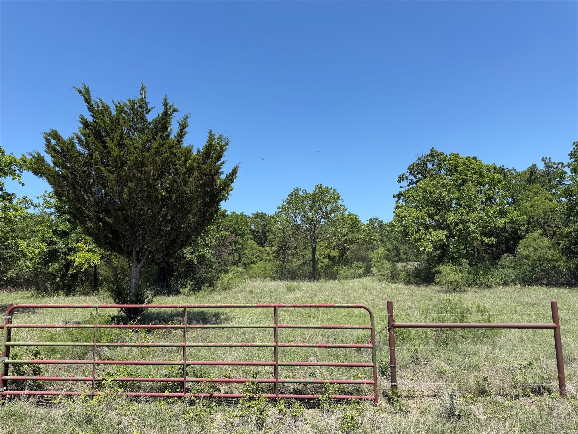 40.85 acres in Montague County - photo 28