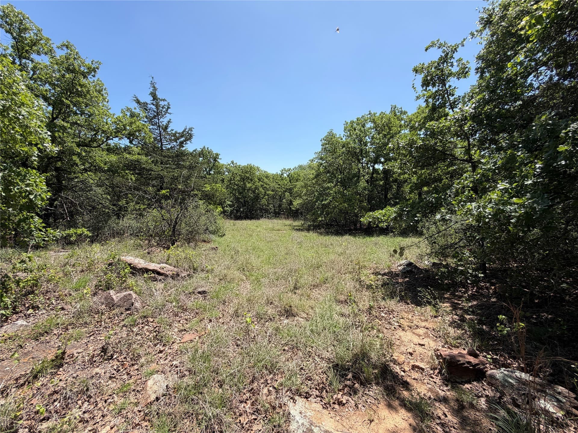 40.85 acres in Montague County - photo 13