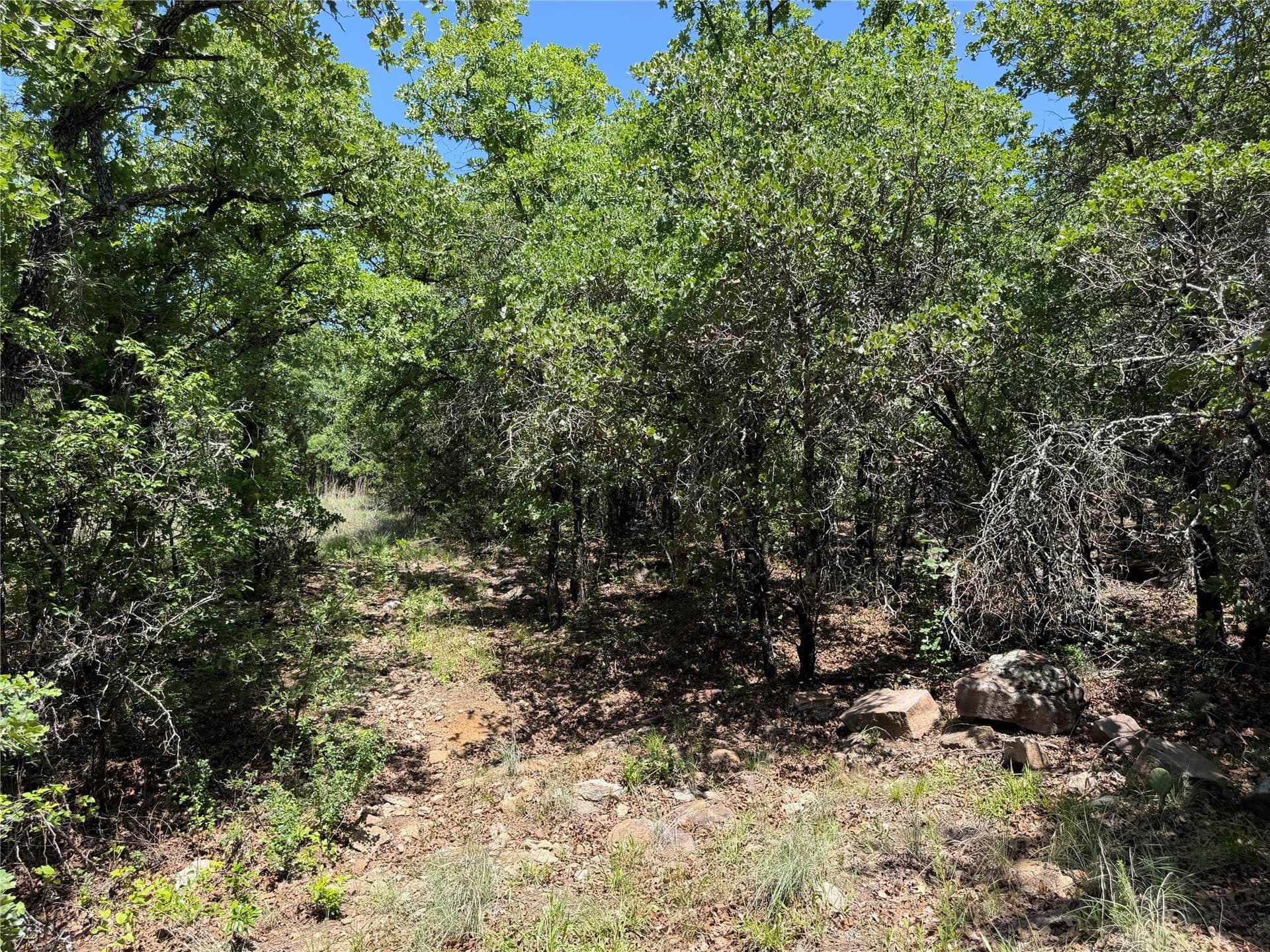 40.85 acres in Montague County - photo 14