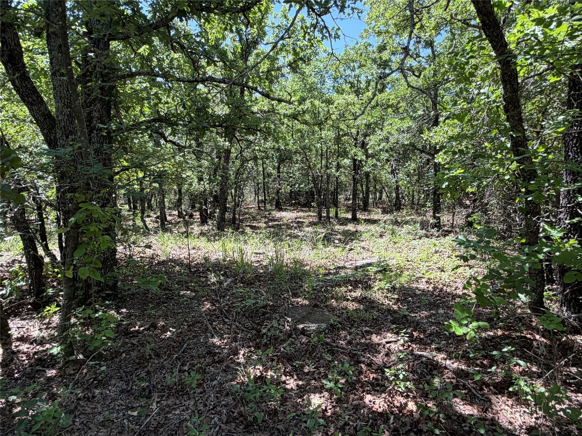 40.85 acres in Montague County - photo 10
