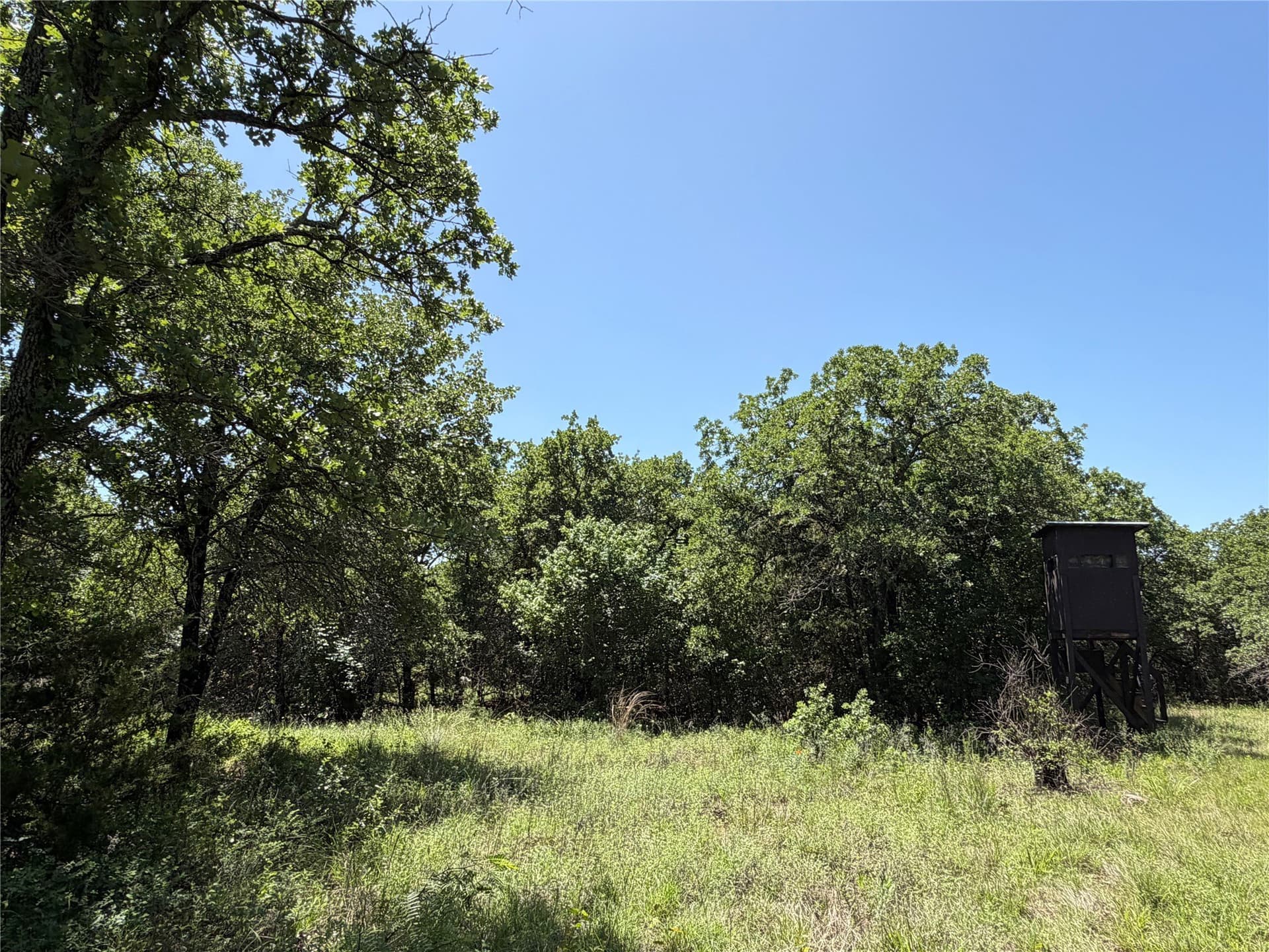 40.85 acres in Montague County - photo 8