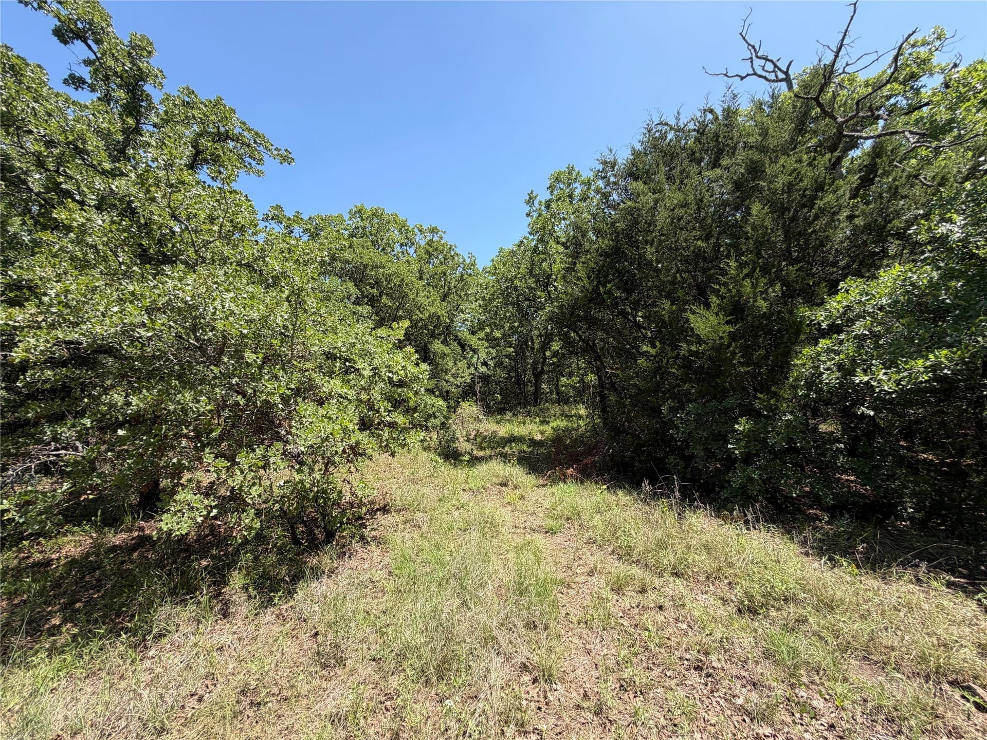 40.85 acres in Montague County - photo 6