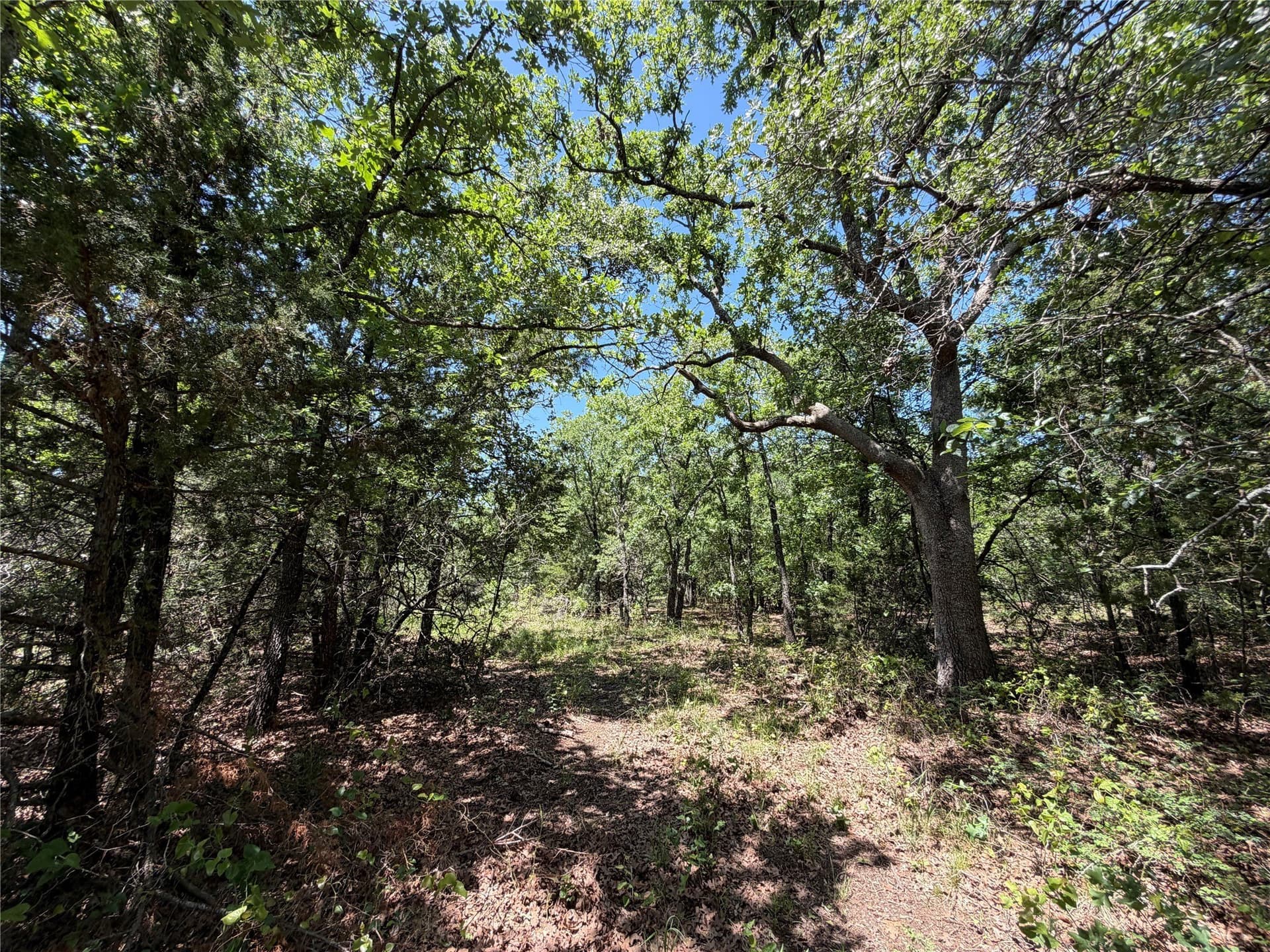 40.85 acres in Montague County - photo 5