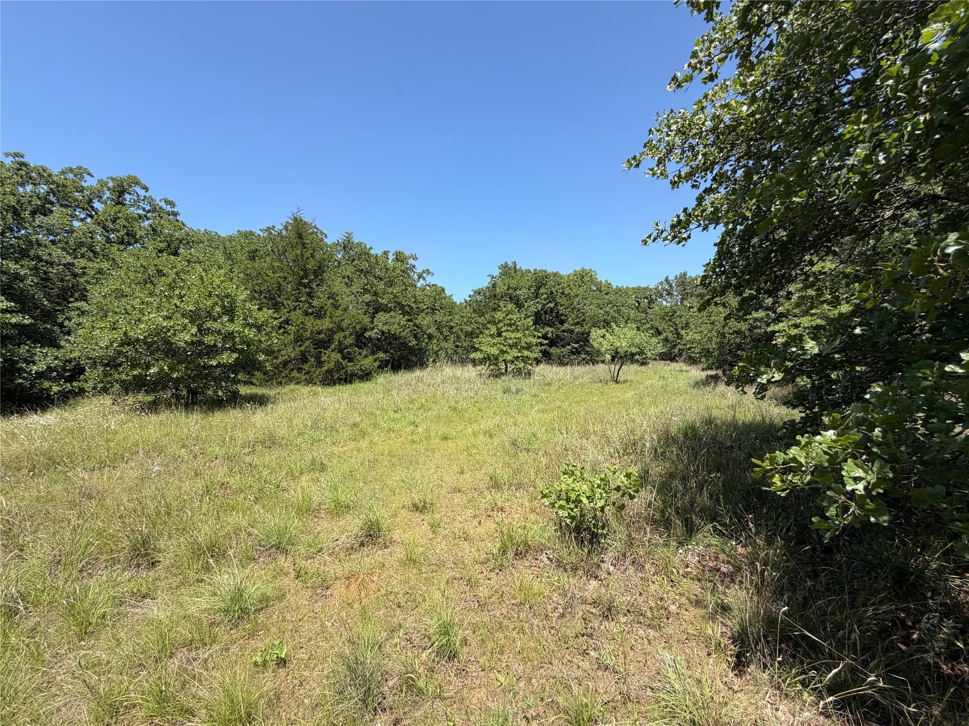 40.85 acres in Montague County - photo 4