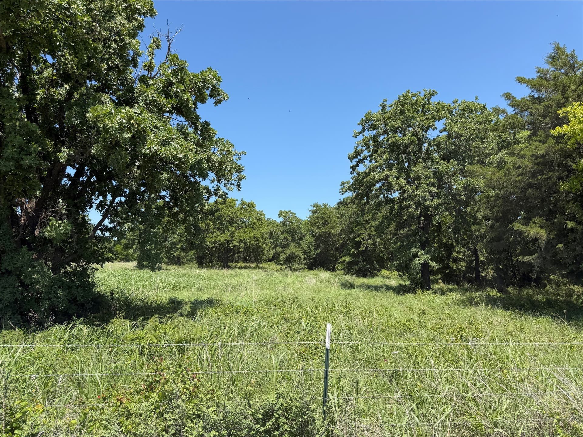 40.85 acres in Montague County - photo 26