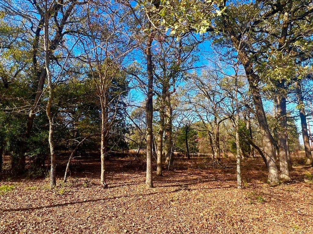 0.53 acres in Henderson County gallery image 2