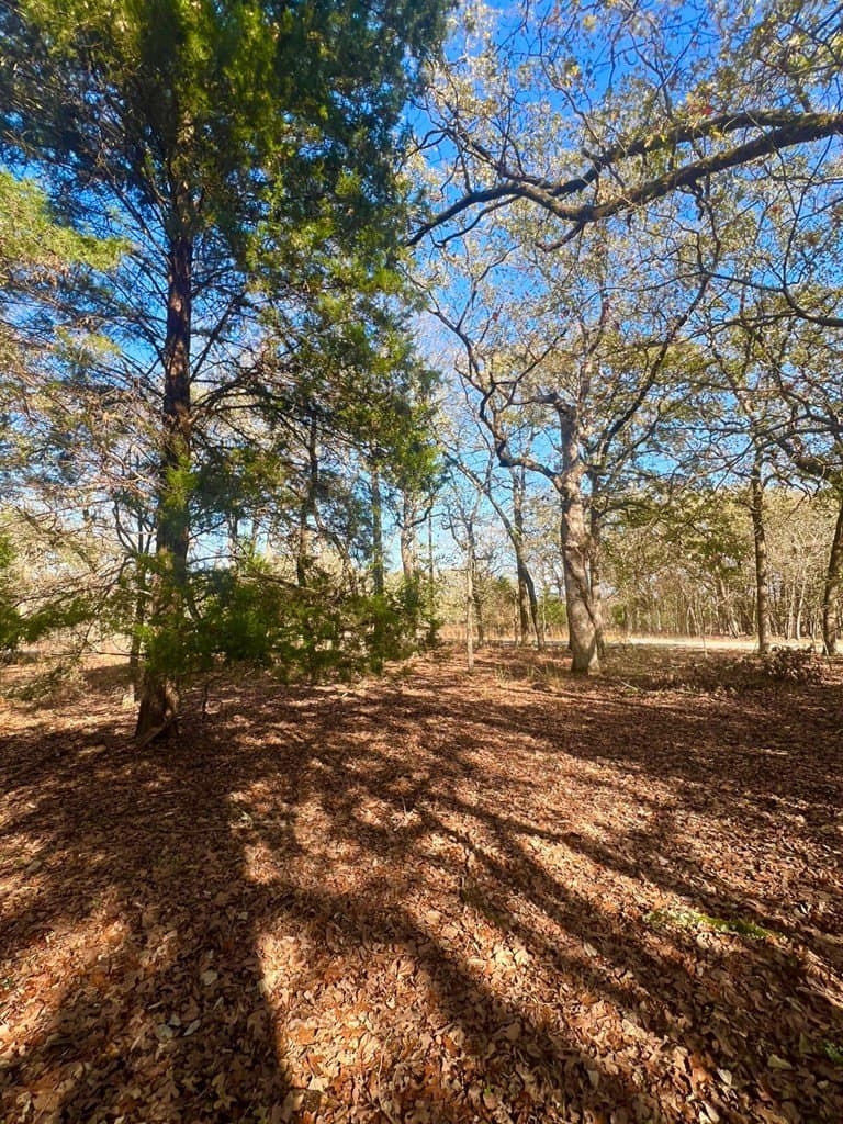 0.53 acres in Henderson County gallery image 3