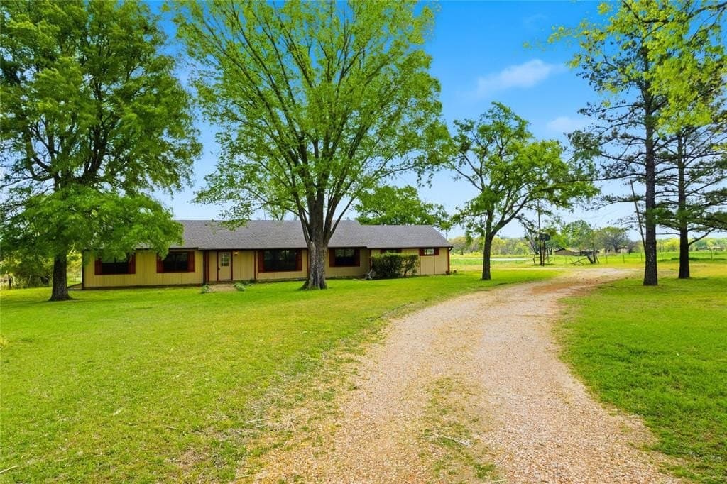 29.79 acres in Lamar County gallery image 3