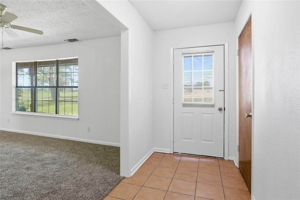 29.79 acres in Lamar County gallery image 4