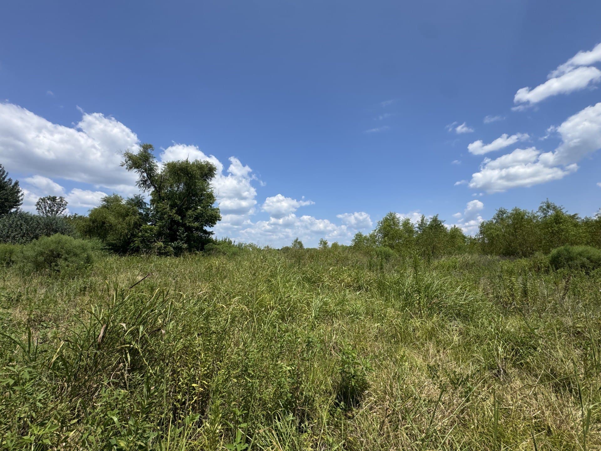 2.5 acres in Red River (TX) County - photo 4