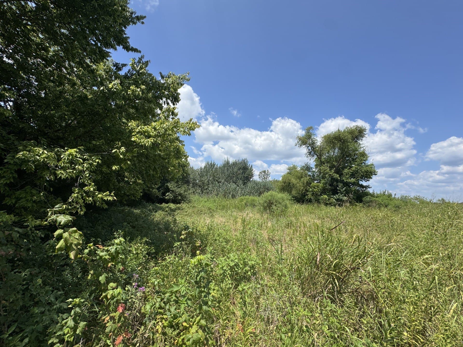 2.5 acres in Red River (TX) County - photo 2