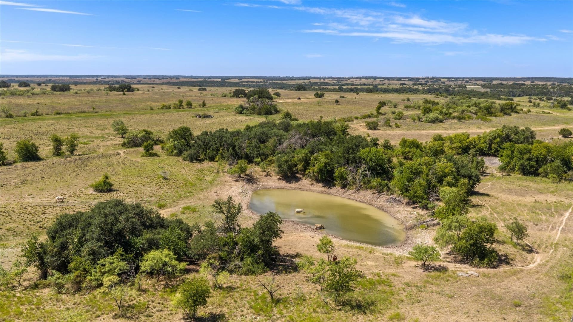 62.6 acres in Erath County - photo 6