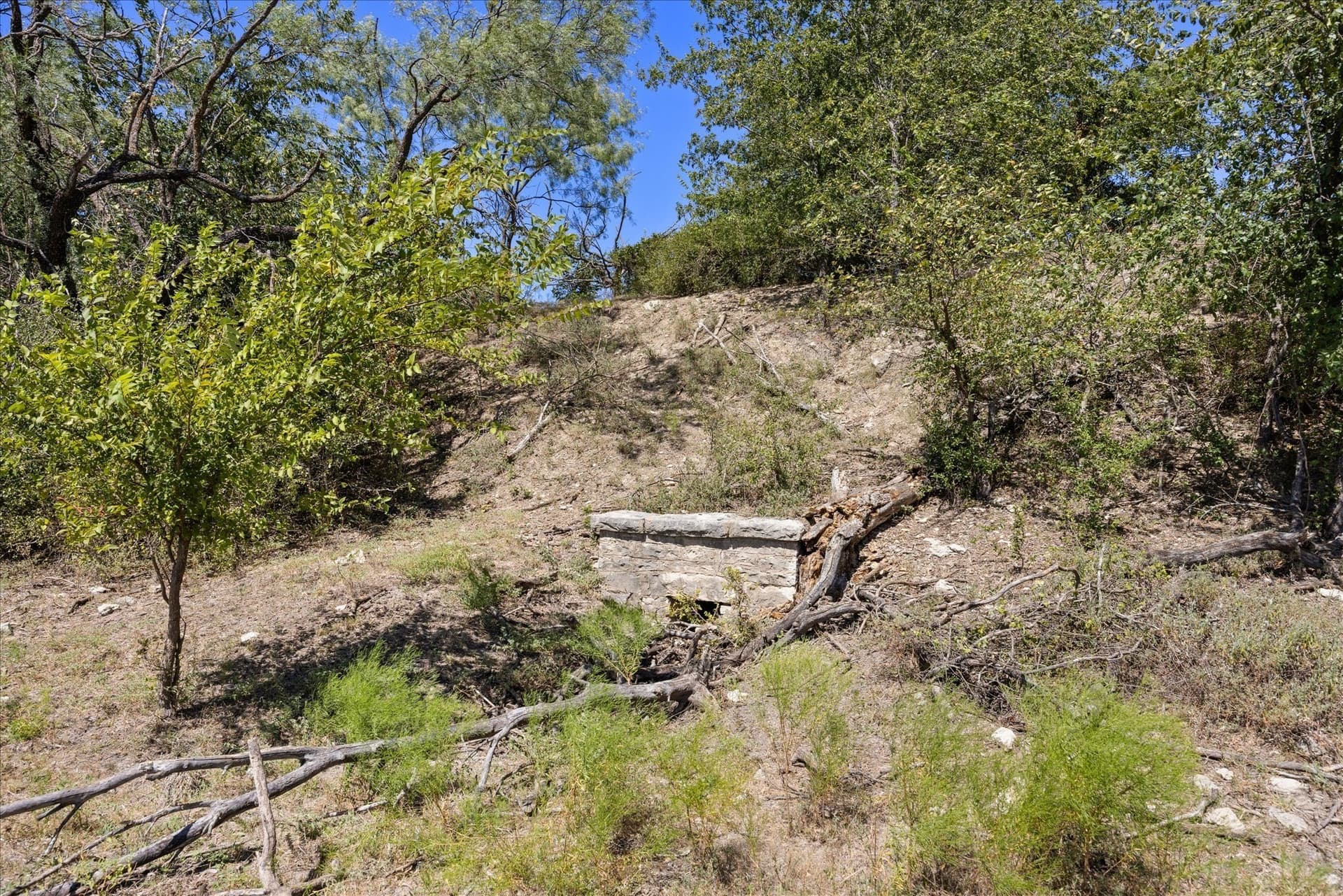 62.6 acres in Erath County - photo 5