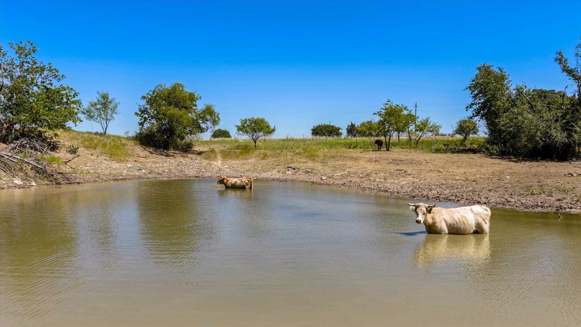 62.6 acres in Erath County - photo 11