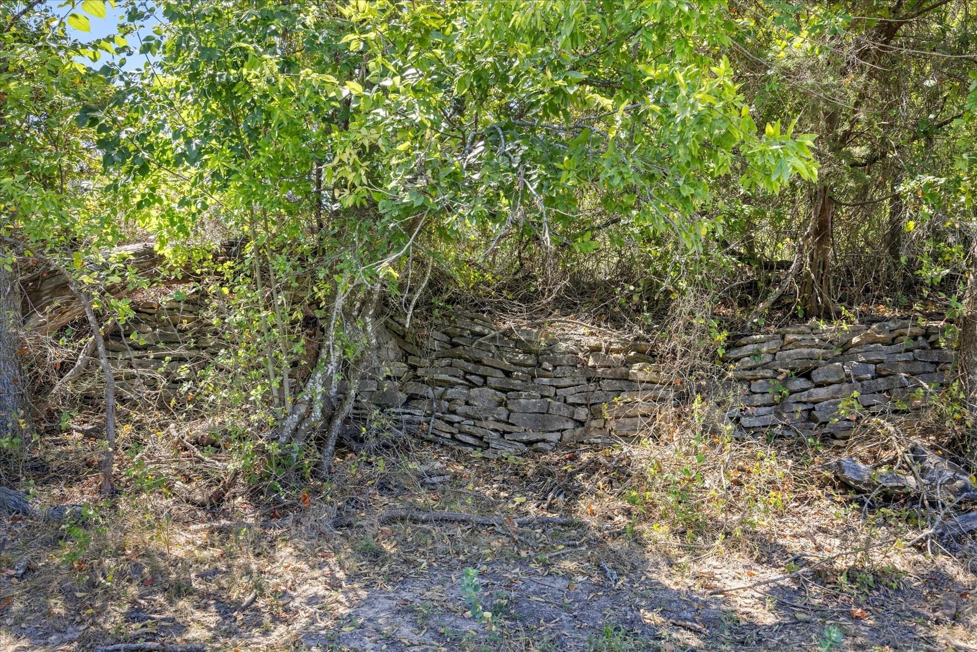 62.6 acres in Erath County - photo 8