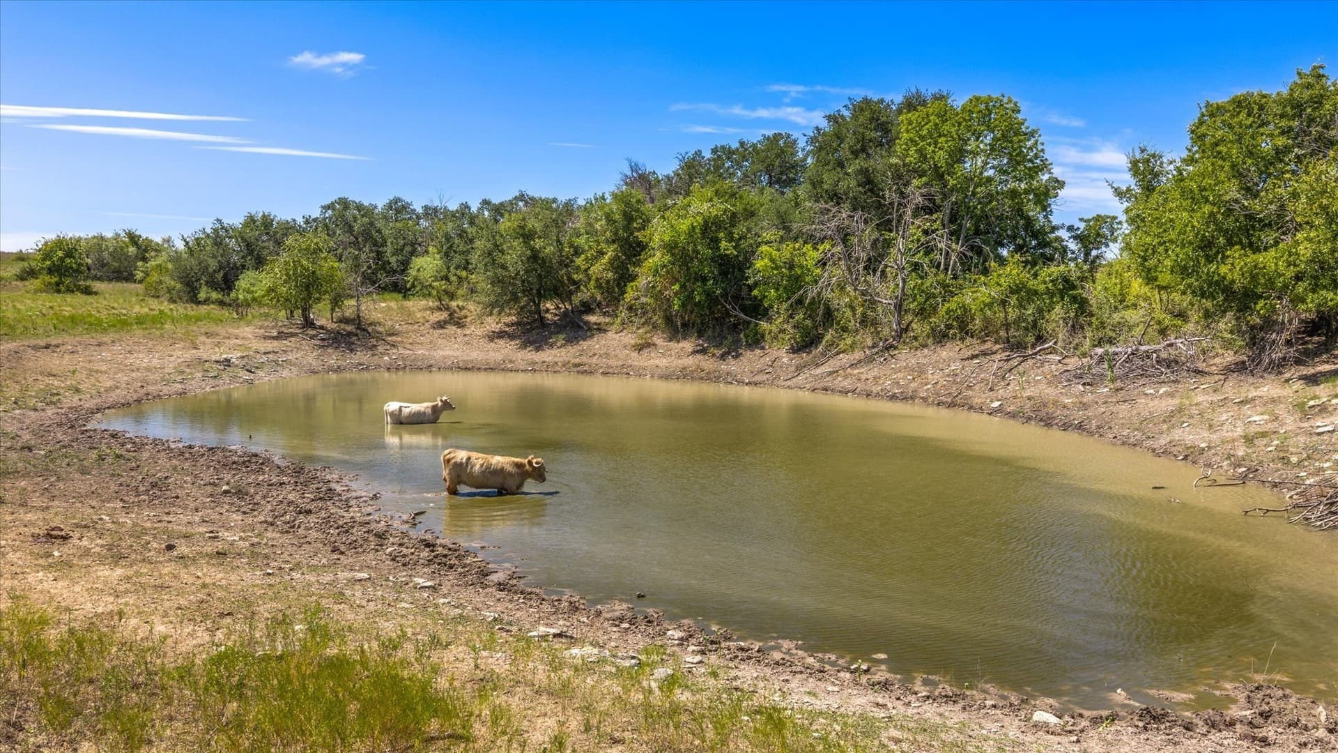 62.6 acres in Erath County - photo 7