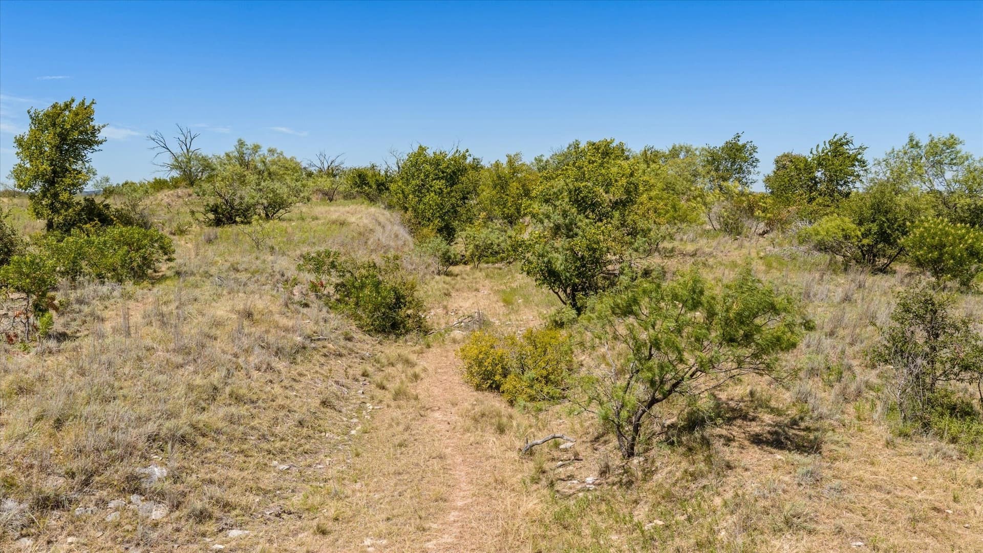 62.6 acres in Erath County - photo 24