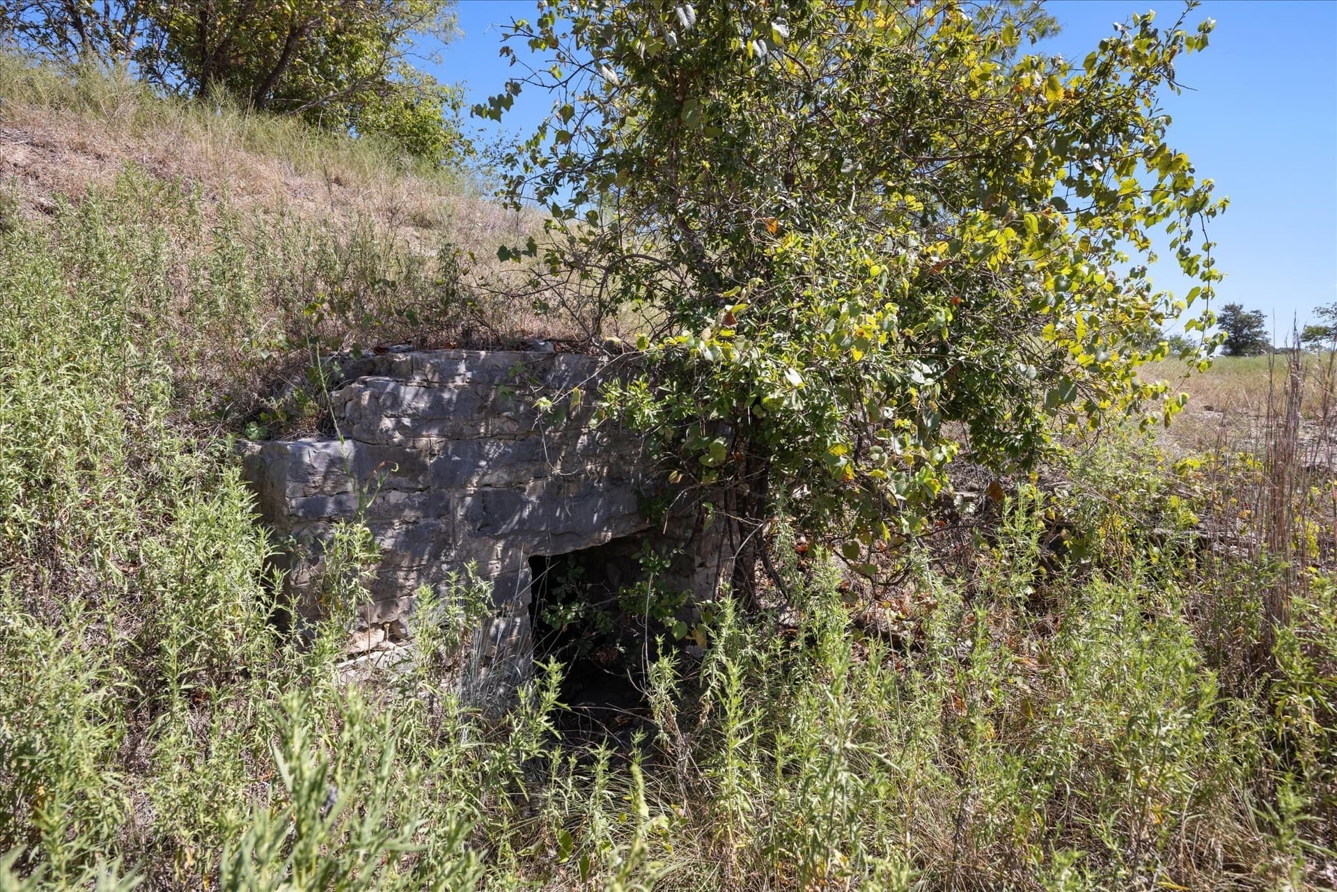 62.6 acres in Erath County - photo 4