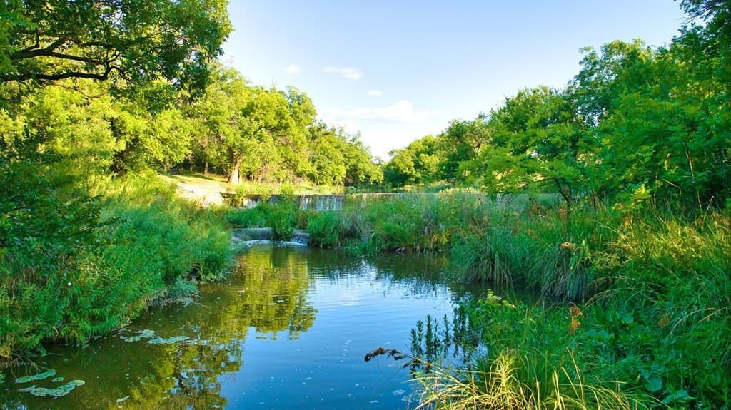 231 acres in Tom Green County featured view