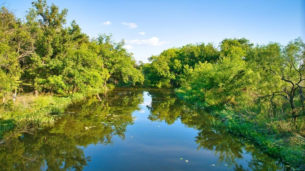 231 acres in Tom Green County gallery image 3