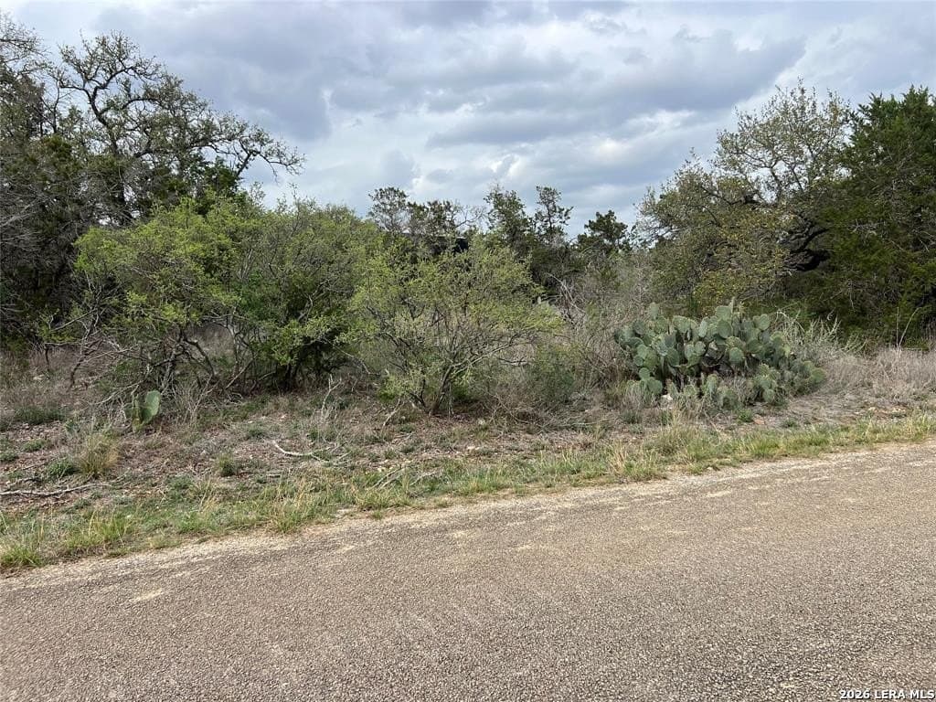 6.33 acres in Hays County - photo 2