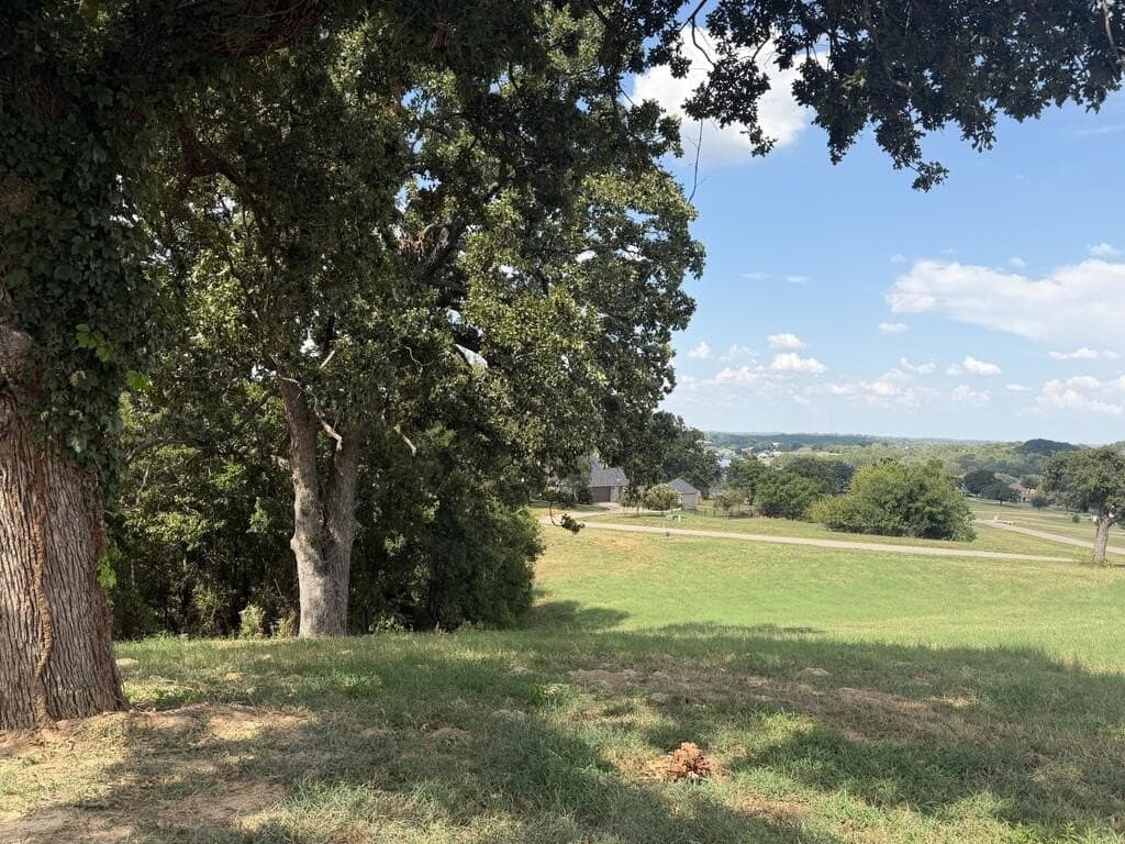 1 acres in HENDERSON County - photo 3