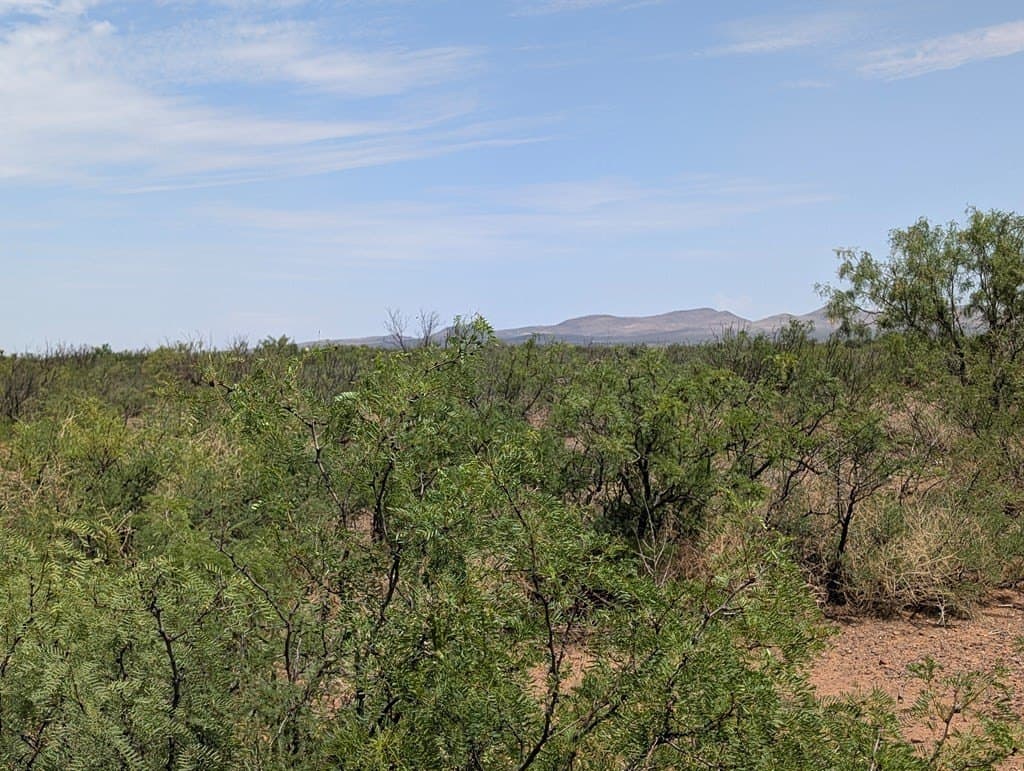 0.65 acres in Jeff Davis County gallery image 4