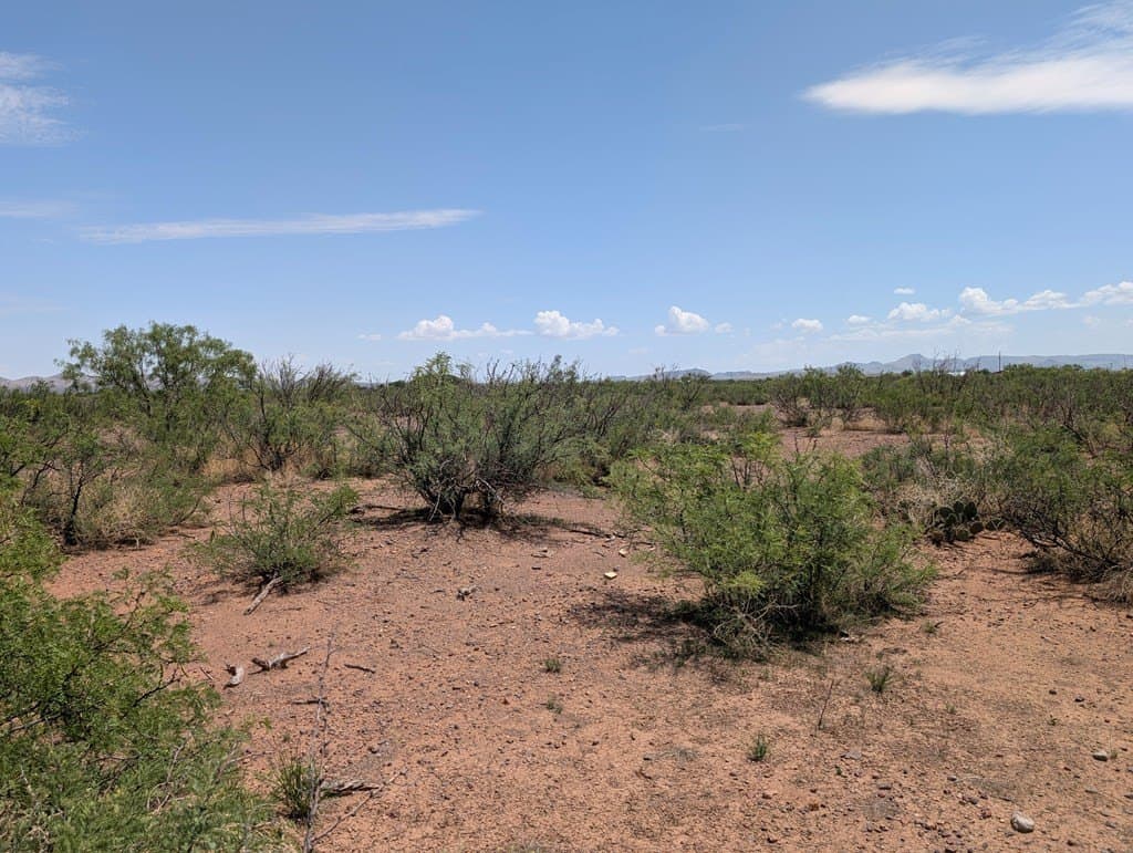 0.65 acres in Jeff Davis County gallery image 2