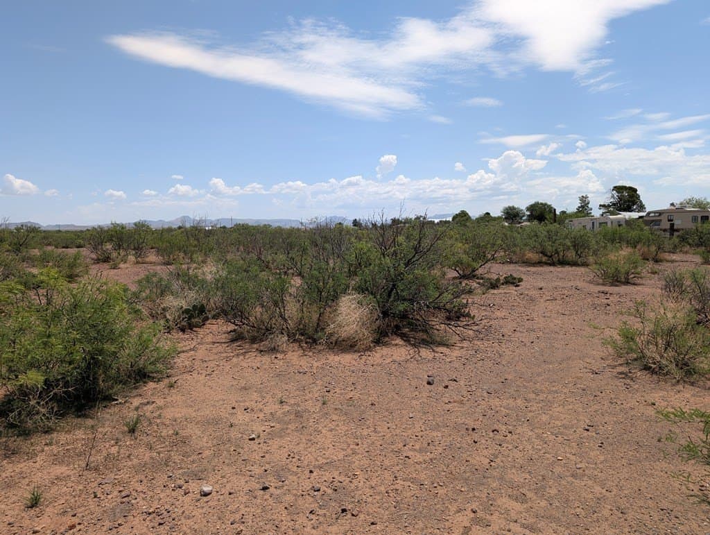 0.65 acres in Jeff Davis County gallery image 3