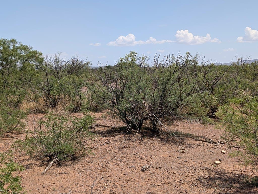 0.65 acres in Jeff Davis County featured view