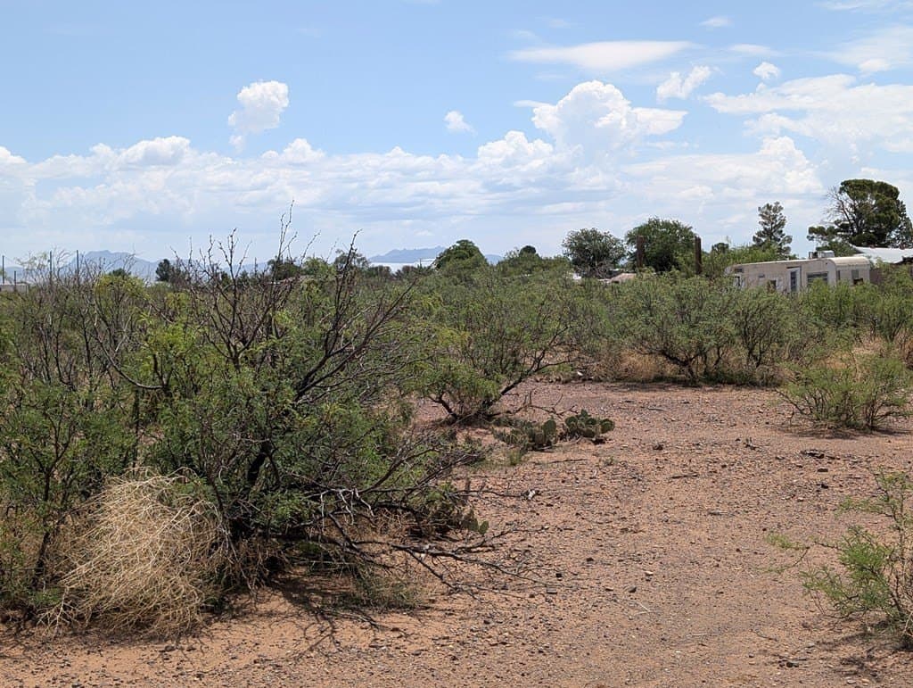 0.65 acres in Jeff Davis County - photo 7