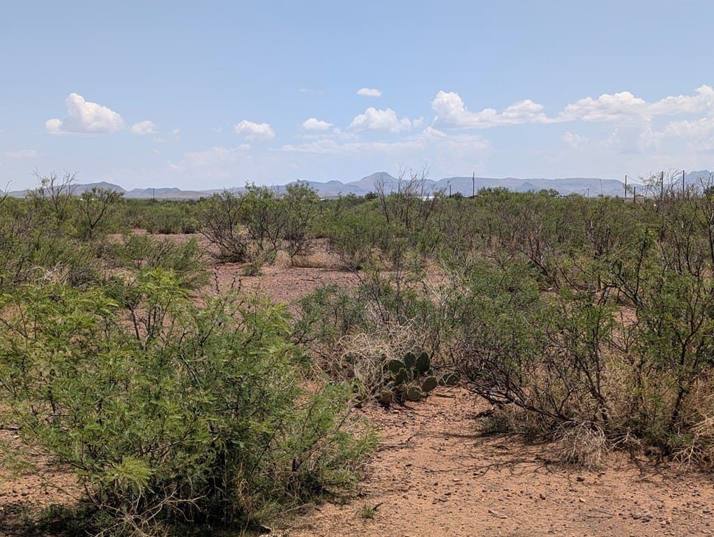 0.65 acres in Jeff Davis County - photo 6