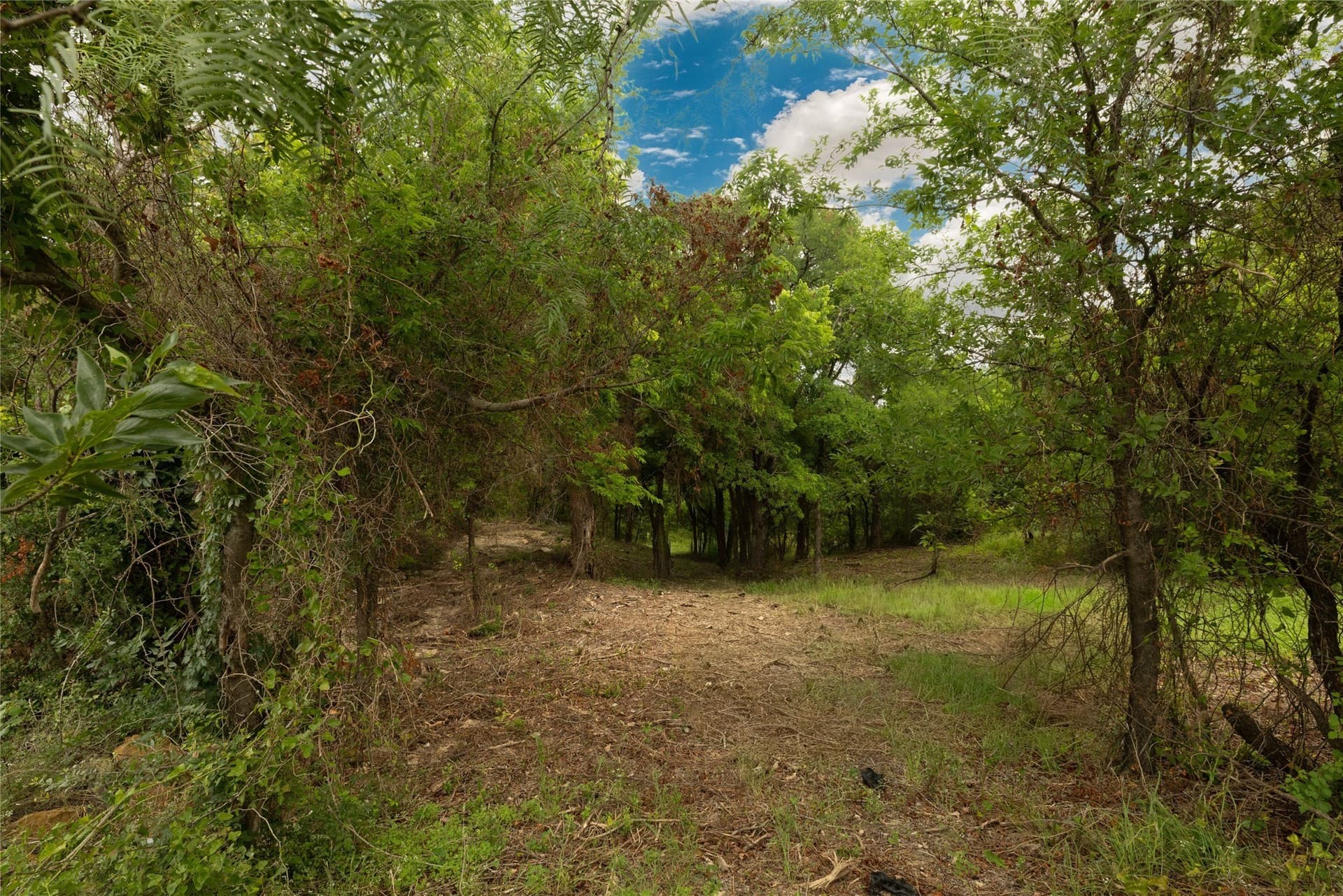 0.23 acres in Wise County gallery image 4