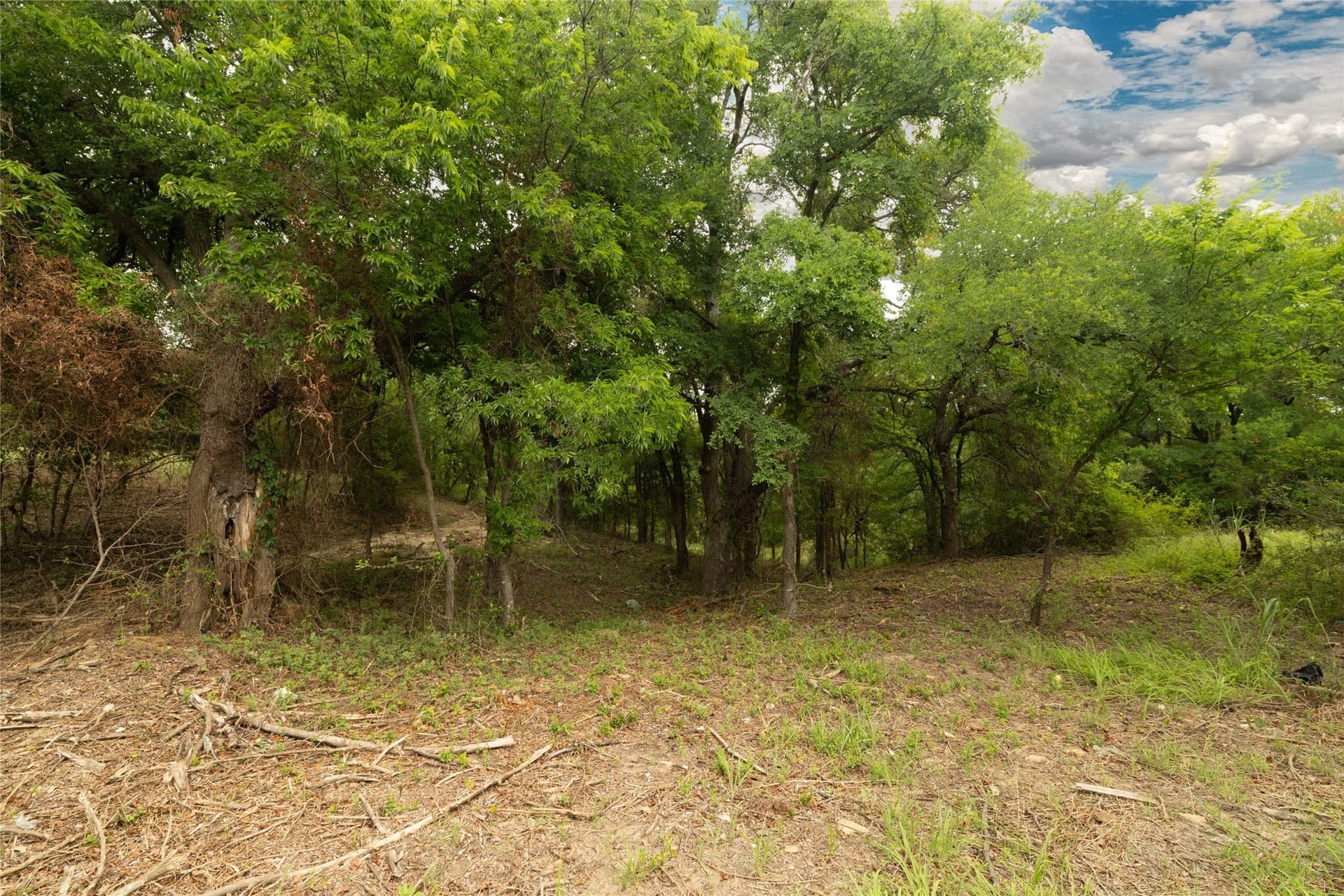0.23 acres in Wise County featured view