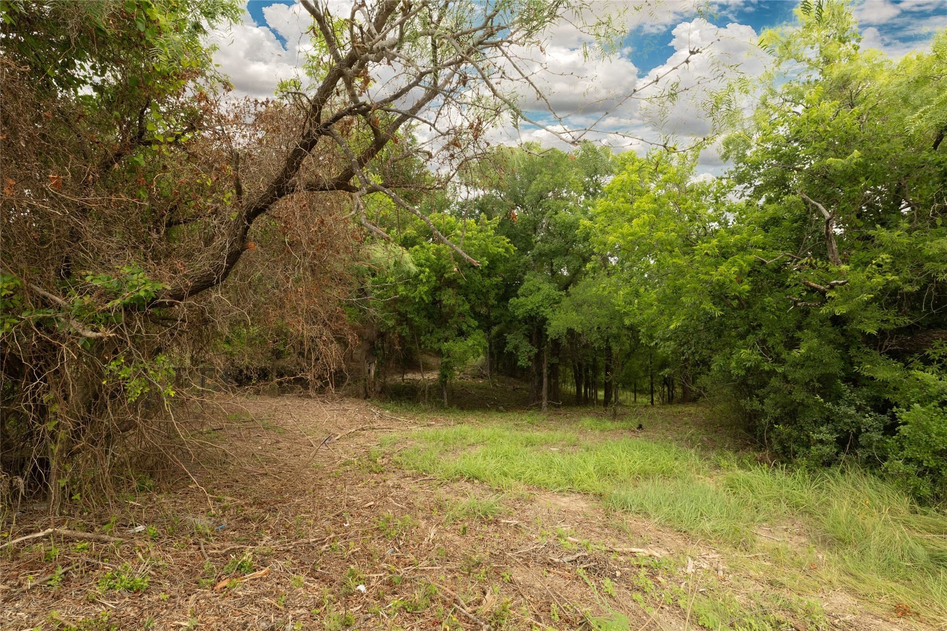 0.23 acres in Wise County gallery image 3
