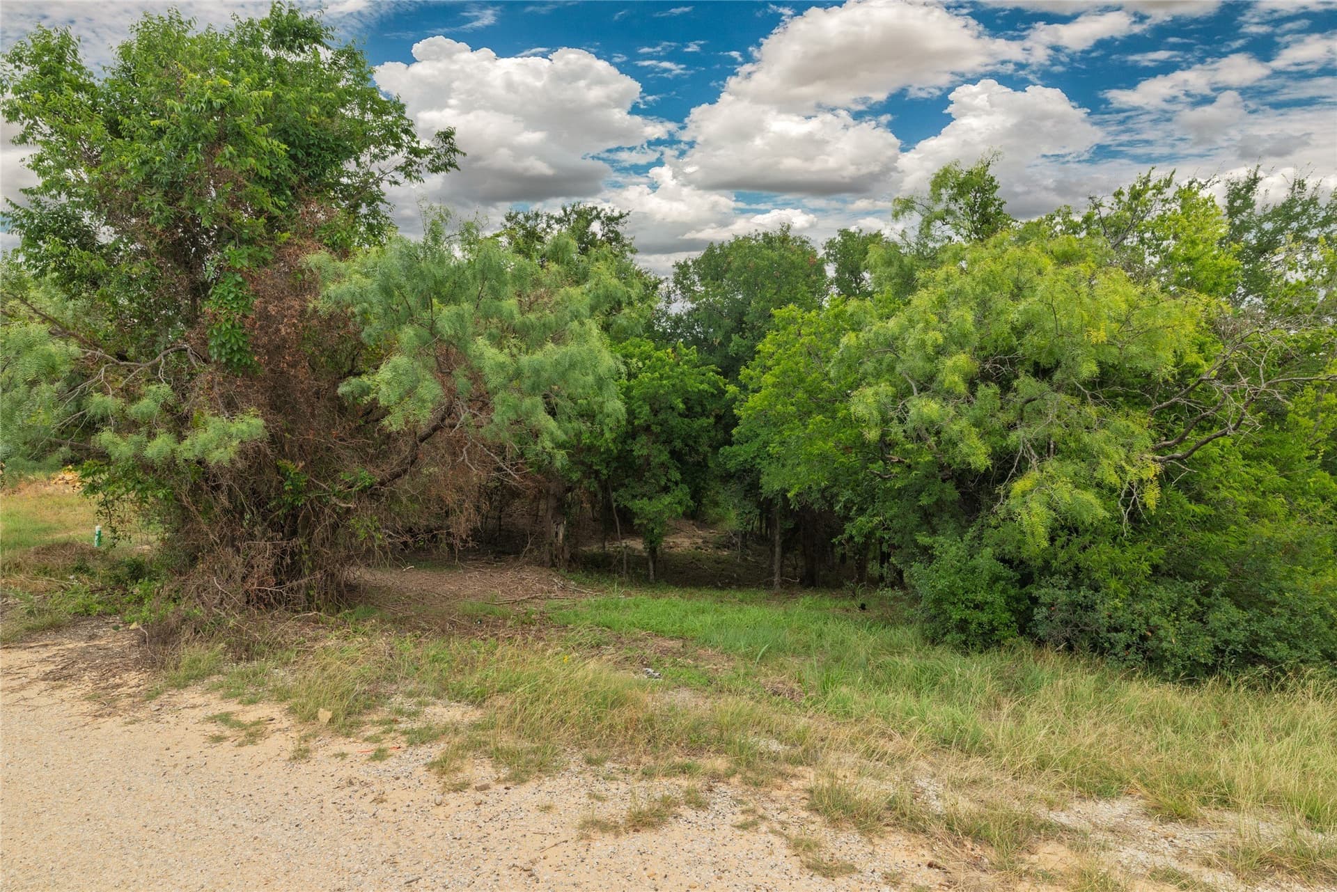 0.23 acres in Wise County gallery image 2
