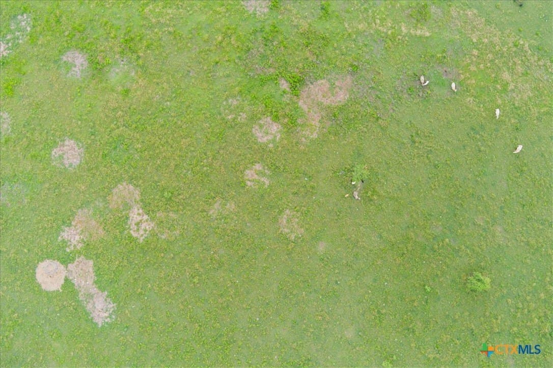 30.22 acres in Williamson County - photo 7