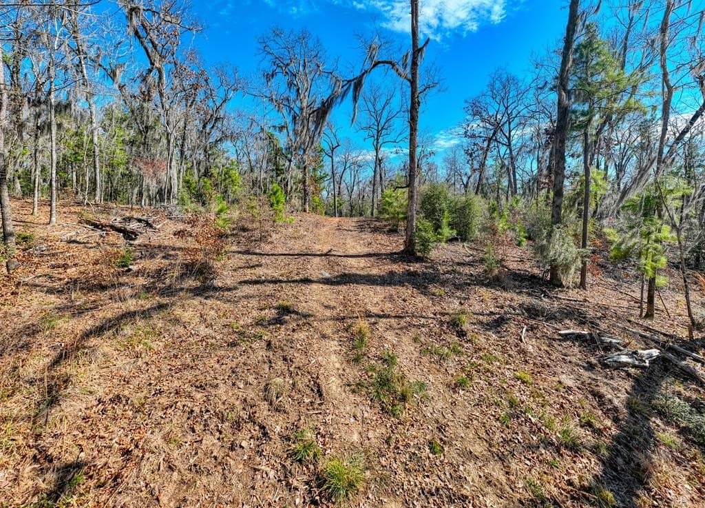 7.06 acres in Texas County - photo 22