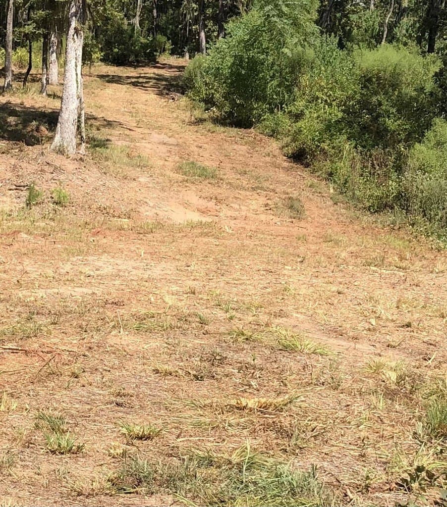 7.06 acres in Texas County featured view