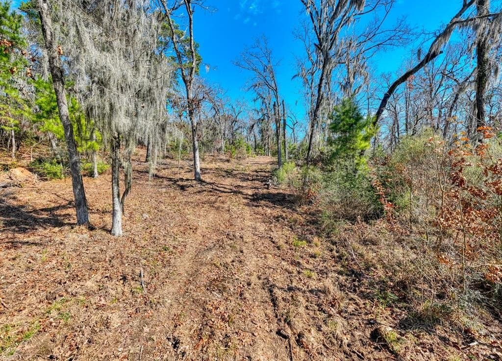 7.06 acres in Texas County - photo 23