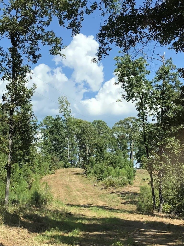 7.06 acres in Texas County gallery image 4