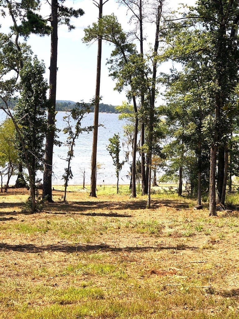 7.06 acres in Texas County gallery image 3