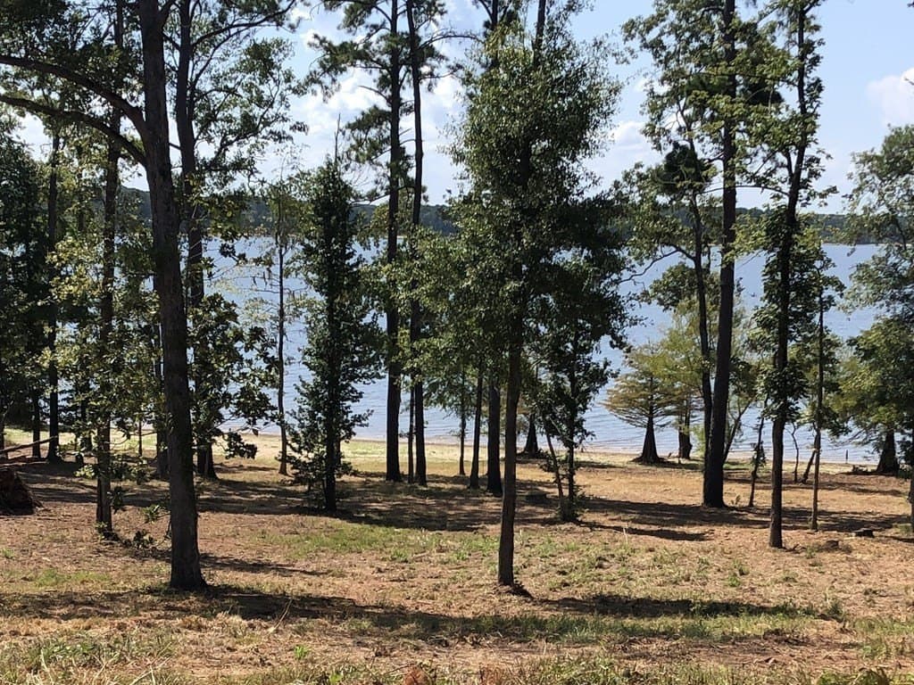 7.06 acres in Texas County - photo 6