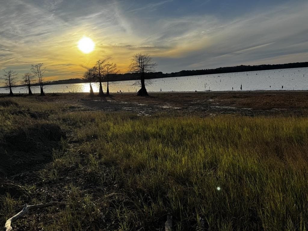 7.06 acres in Texas County - photo 10