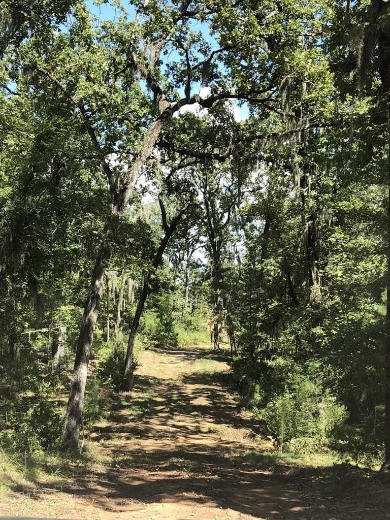7.06 acres in Texas County - photo 13