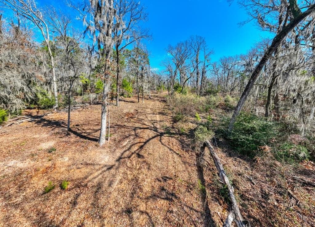 7.06 acres in Texas County - photo 21